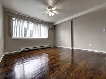Ceiling fan in living room 